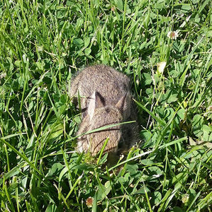 Meet your Posher, Adriana